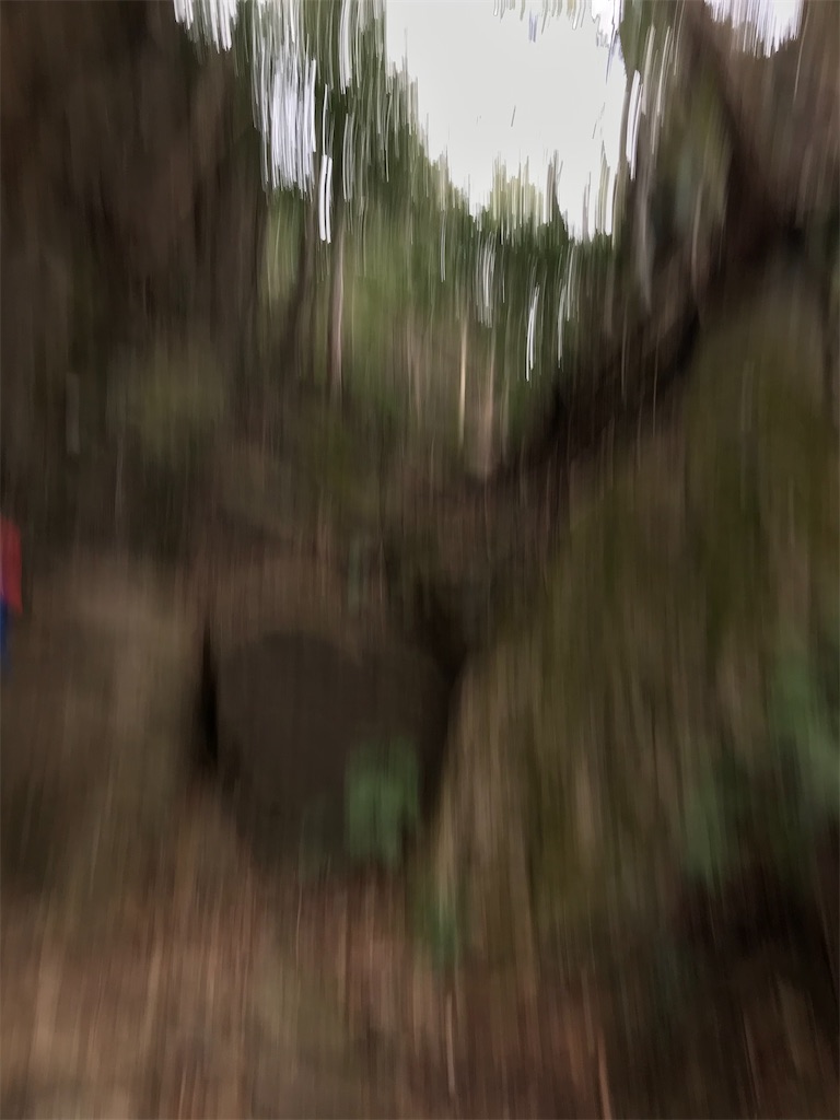 f:id:bananabasyo:20201222205533j:image f:id:bananabasyo:20201222205533j:image