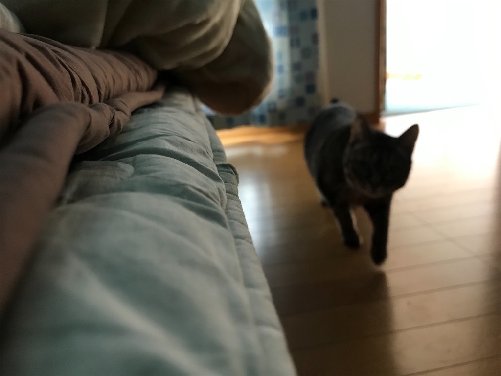 f:id:bananabasyo:20201225220817j:image