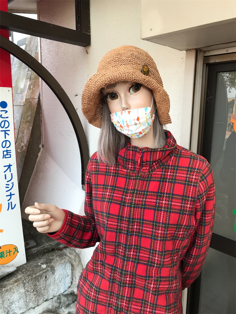 f:id:bananabasyo:20201230103751j:image