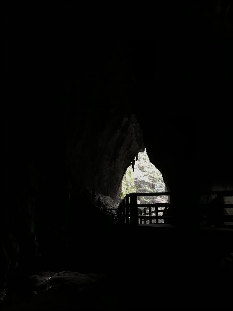f:id:bananabasyo:20201230103806j:image