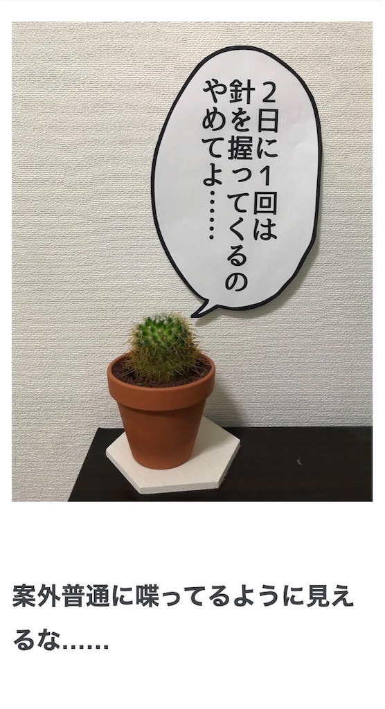 f:id:bananabasyo:20201231155834j:image