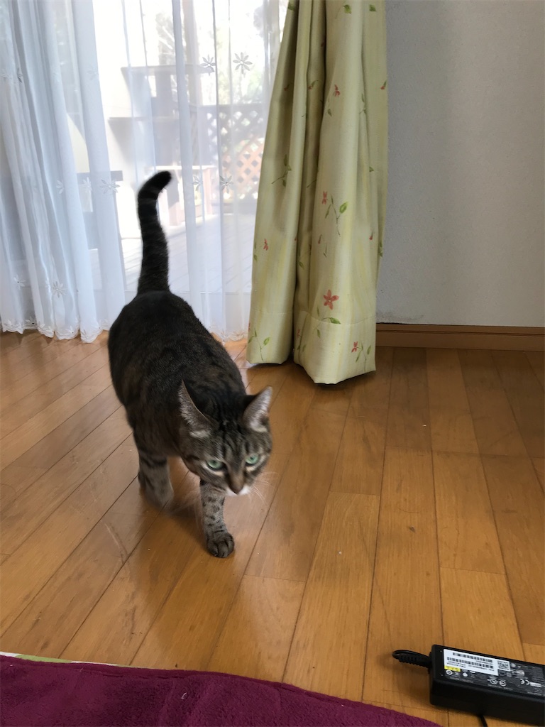 f:id:bananabasyo:20210115213003j:image