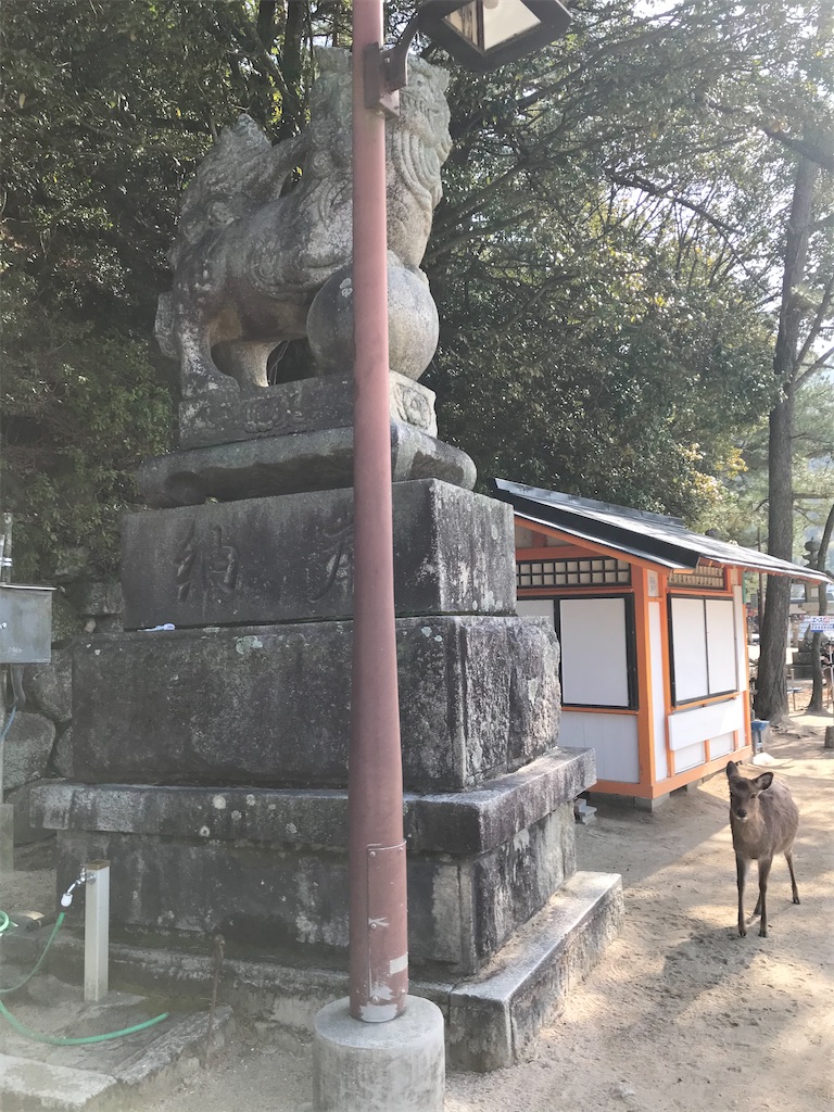 f:id:bananabasyo:20210116211418j:image