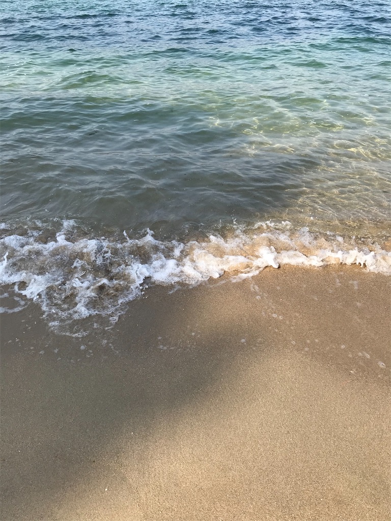 f:id:bananabasyo:20210116211550j:image