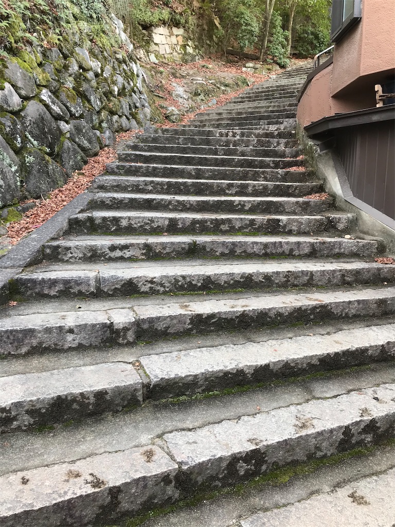 f:id:bananabasyo:20210116211703j:image