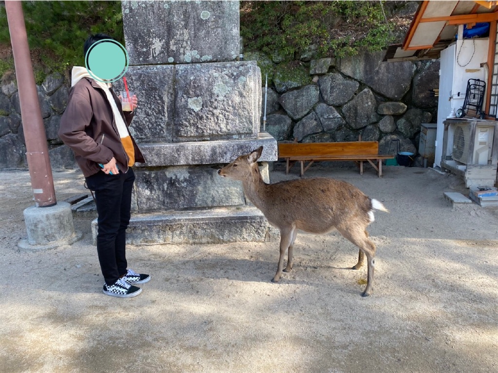 f:id:bananabasyo:20210116212040j:image