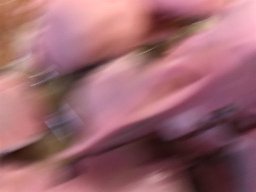 f:id:bananabasyo:20210213172830j:image