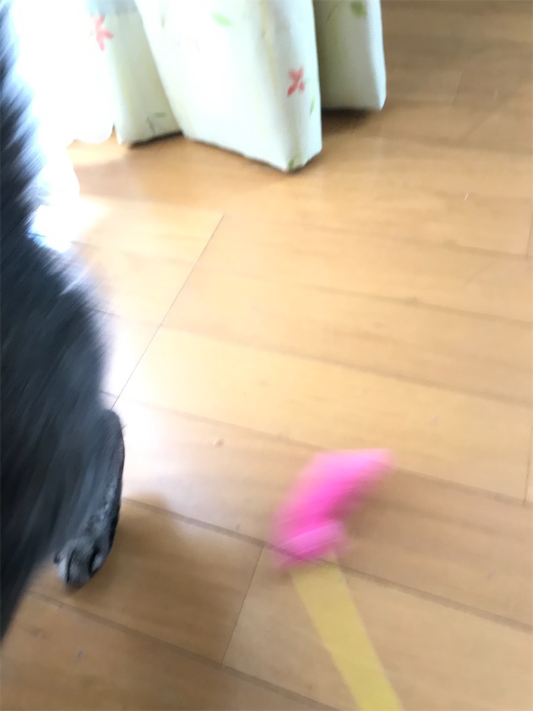 f:id:bananabasyo:20210213175917j:image