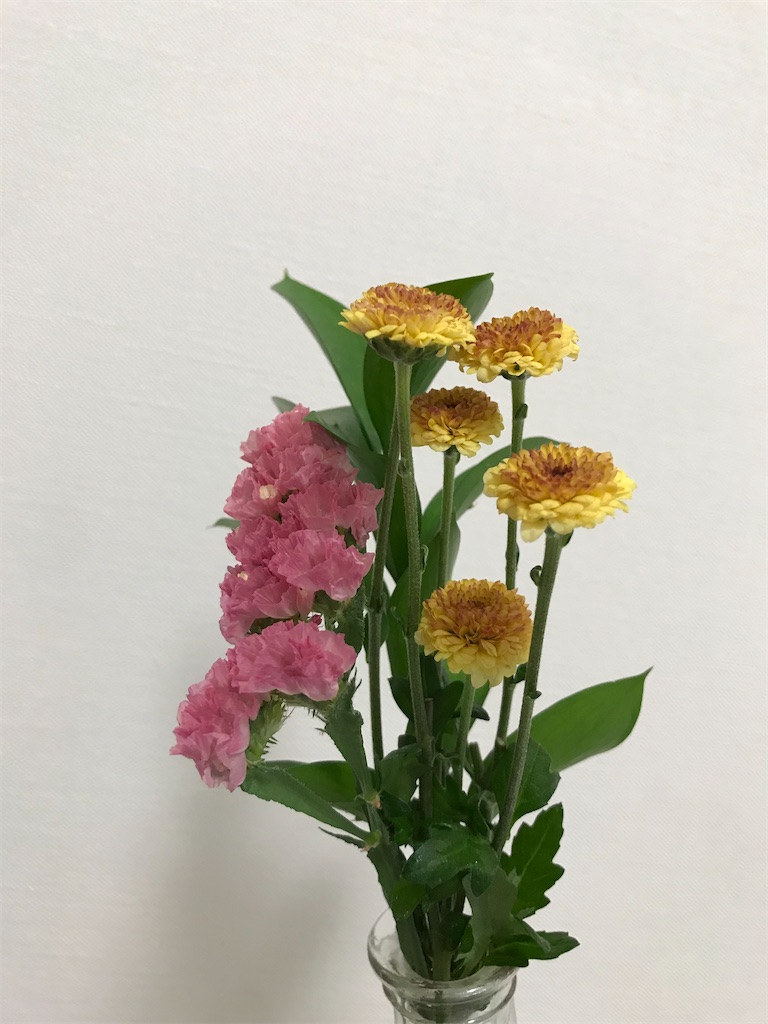 f:id:bananabasyo:20210405192044j:image