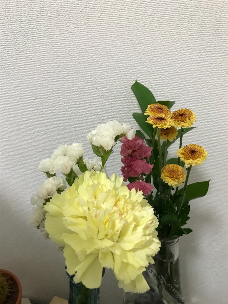 f:id:bananabasyo:20210405192101j:image