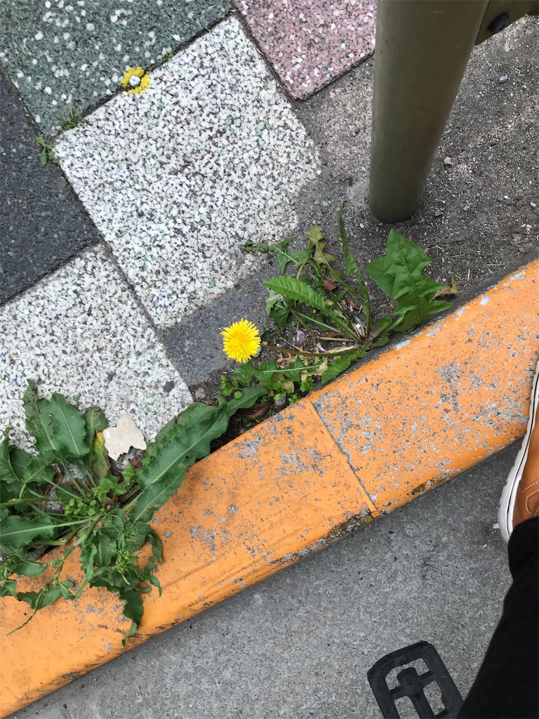 f:id:bananabasyo:20210416204519j:image