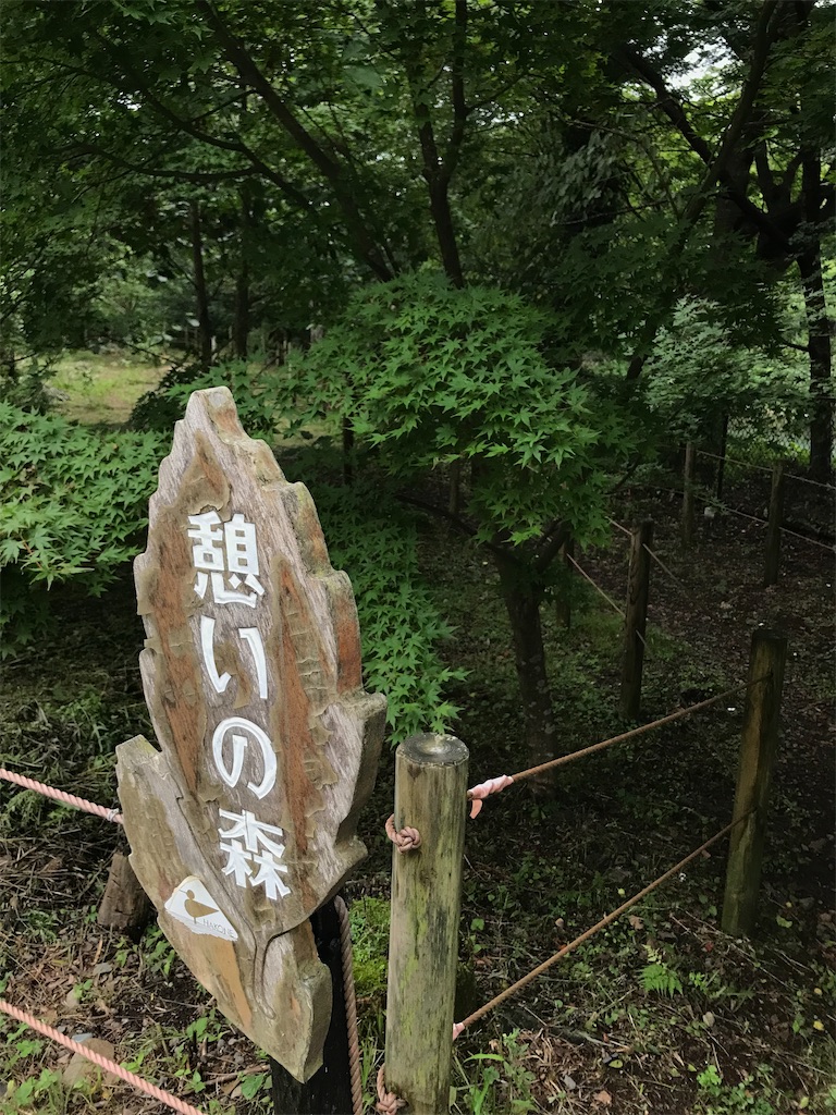 f:id:bananabasyo:20210905183216j:image