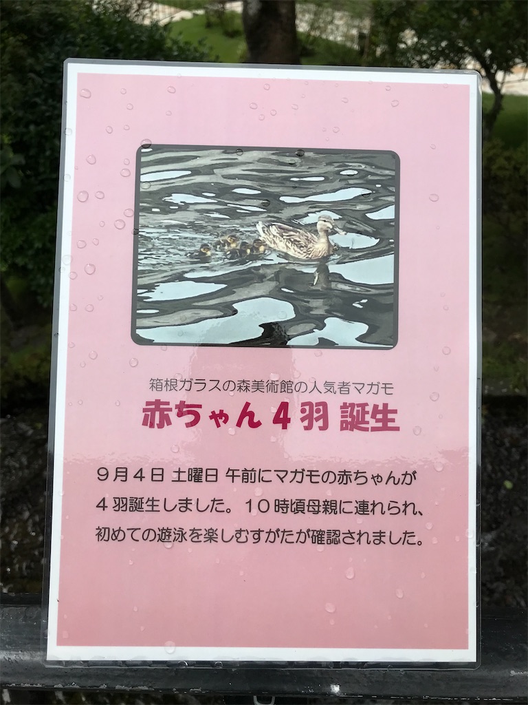f:id:bananabasyo:20210906212426j:image