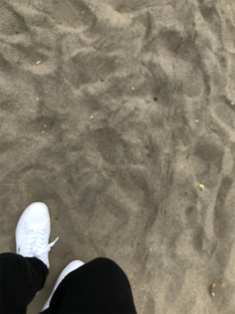f:id:bananabasyo:20210930173832j:image
