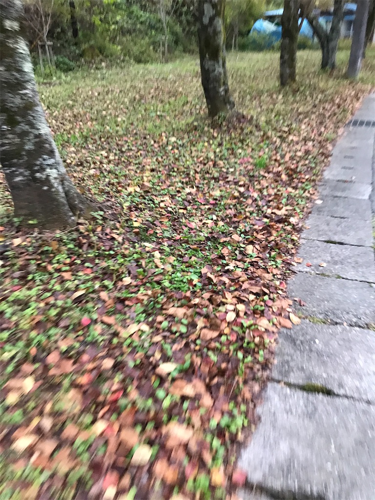 f:id:bananabasyo:20211101215746j:image f:id:bananabasyo:20211101215746j:image