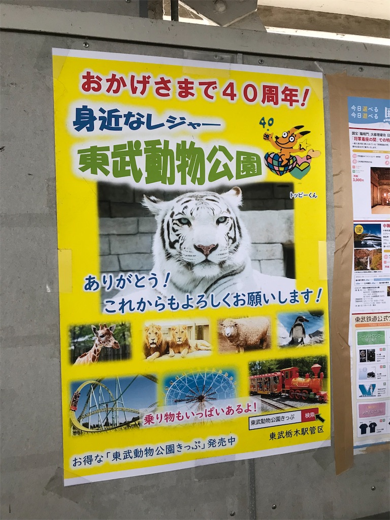 f:id:bananabasyo:20211101215904j:image f:id:bananabasyo:20211101215904j:image