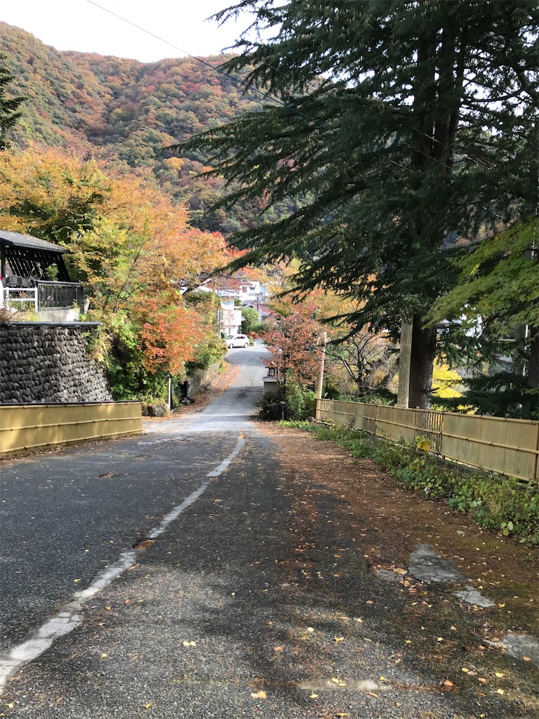 f:id:bananabasyo:20211102195523j:image