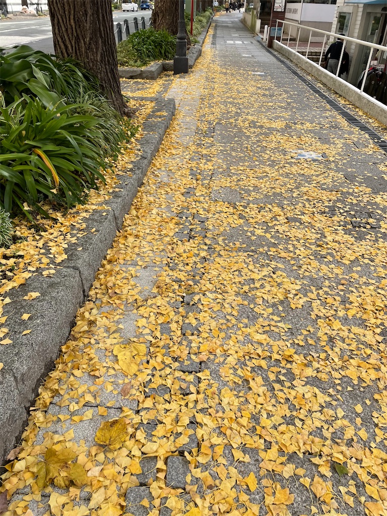 f:id:bananabasyo:20211123211436j:image