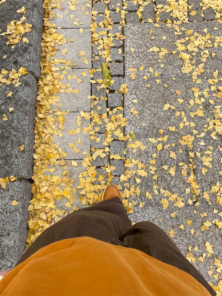 f:id:bananabasyo:20211123211450j:image