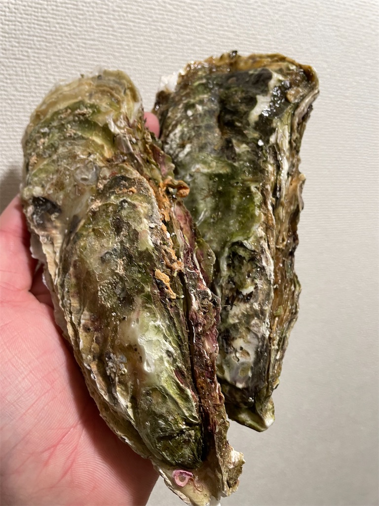 f:id:bananabasyo:20211201192425j:image
