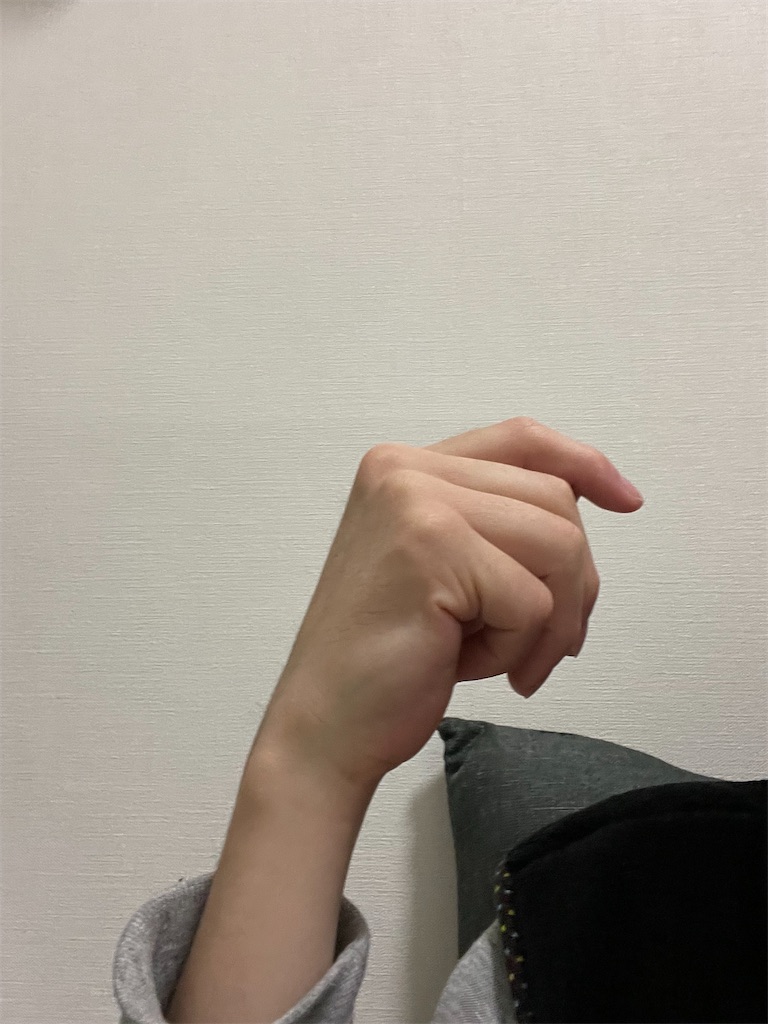 f:id:bananabasyo:20211207221837j:image f:id:bananabasyo:20211207221837j:image