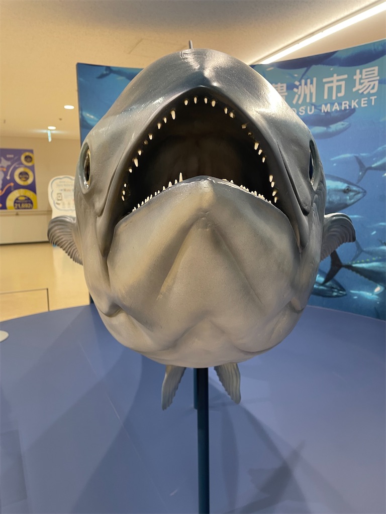 f:id:bananabasyo:20211229180539j:image