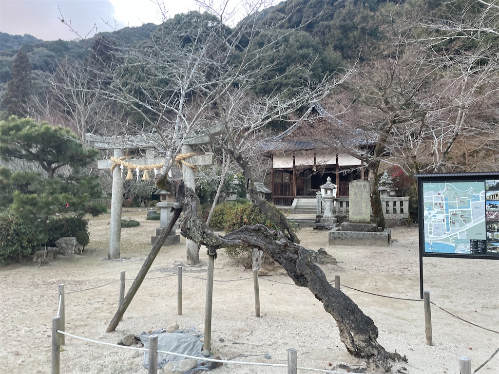 f:id:bananabasyo:20220104175923j:image