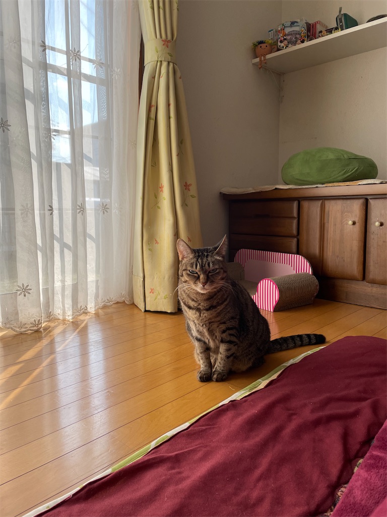 f:id:bananabasyo:20220104175958j:image