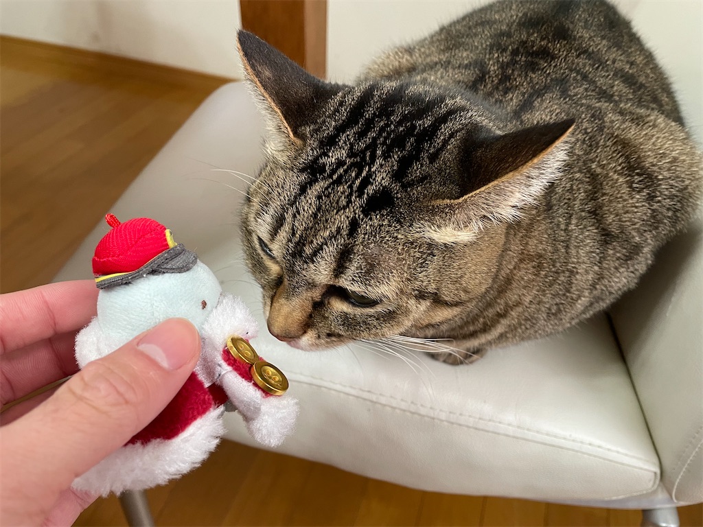 f:id:bananabasyo:20220115211616j:image