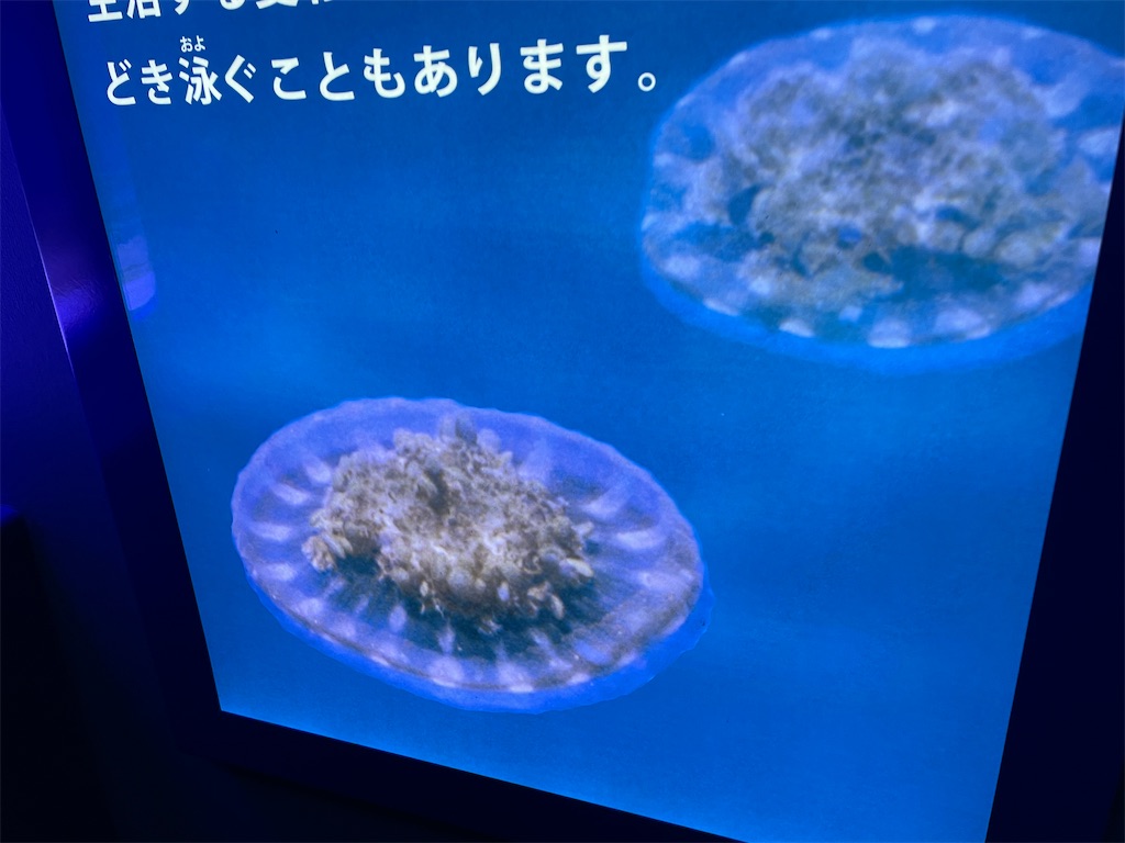 f:id:bananabasyo:20220225204034j:image