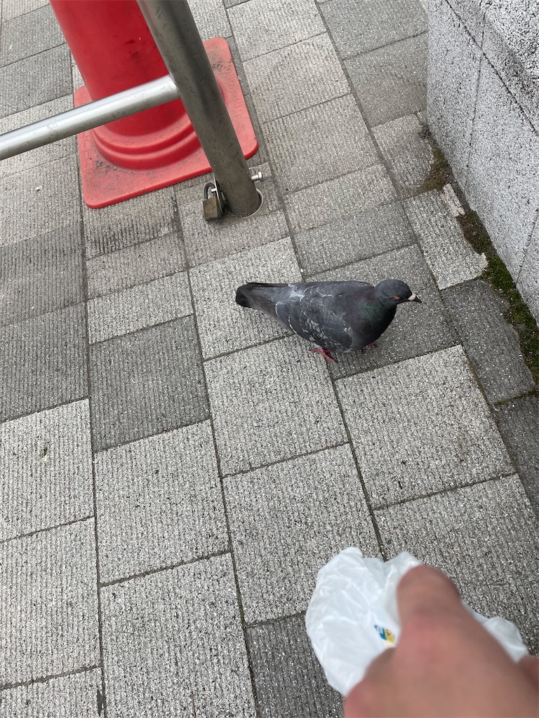f:id:bananabasyo:20220511194304j:image