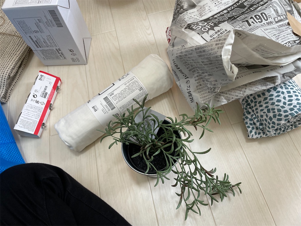 f:id:bananabasyo:20230201172333j:image