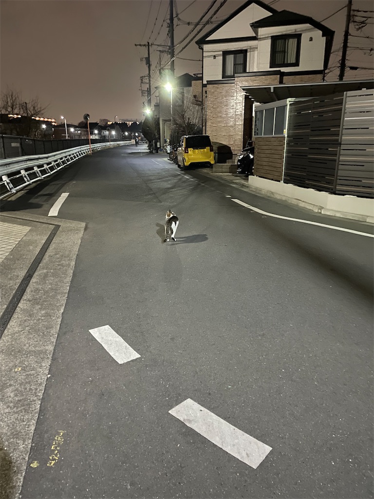 f:id:bananabasyo:20230207231417j:image