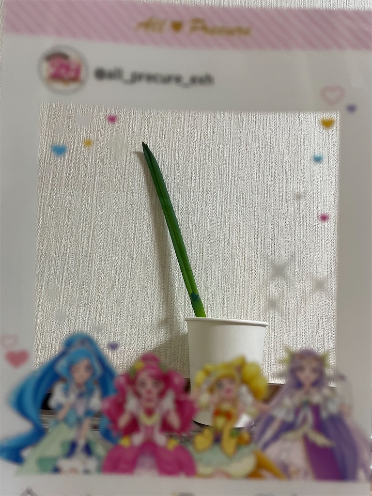 f:id:bananabasyo:20230218202725j:image