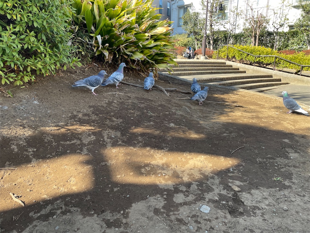f:id:bananabasyo:20230227224141j:image
