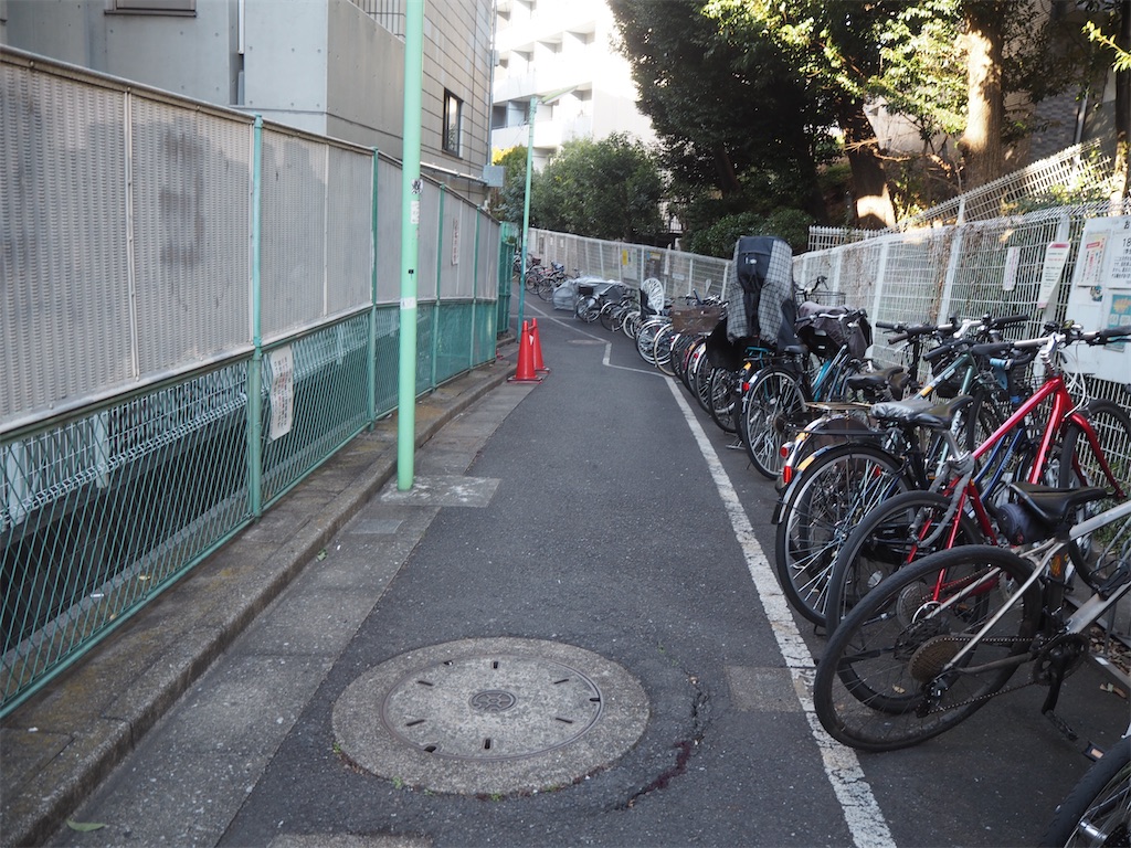 f:id:bananabasyo:20230227224337j:image