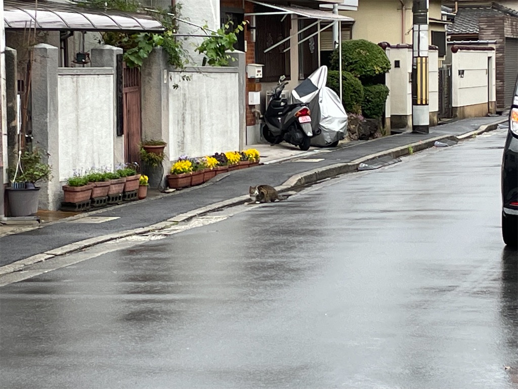 f:id:bananabasyo:20230416131207j:image