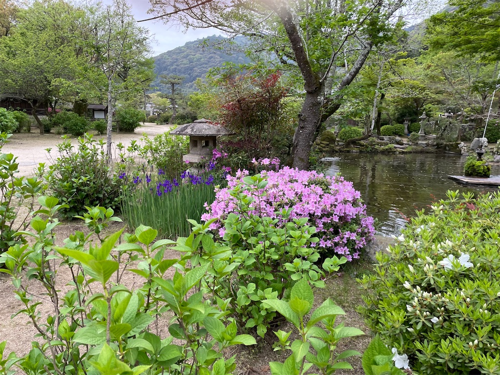 f:id:bananabasyo:20230419174352j:image