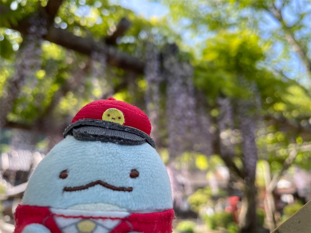 f:id:bananabasyo:20230506205544j:image