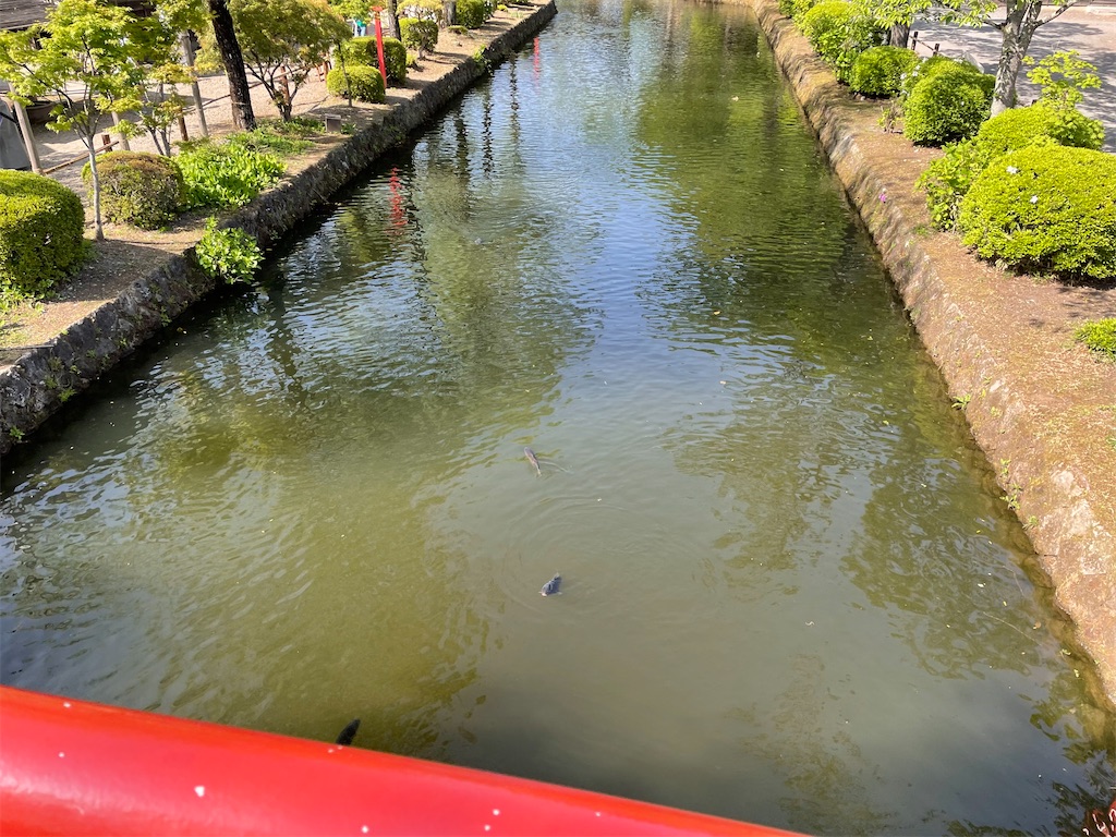 f:id:bananabasyo:20230506205551j:image