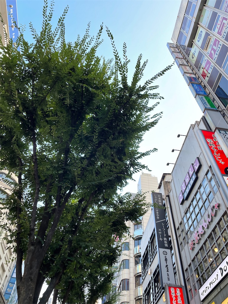 f:id:bananabasyo:20230821222118j:image