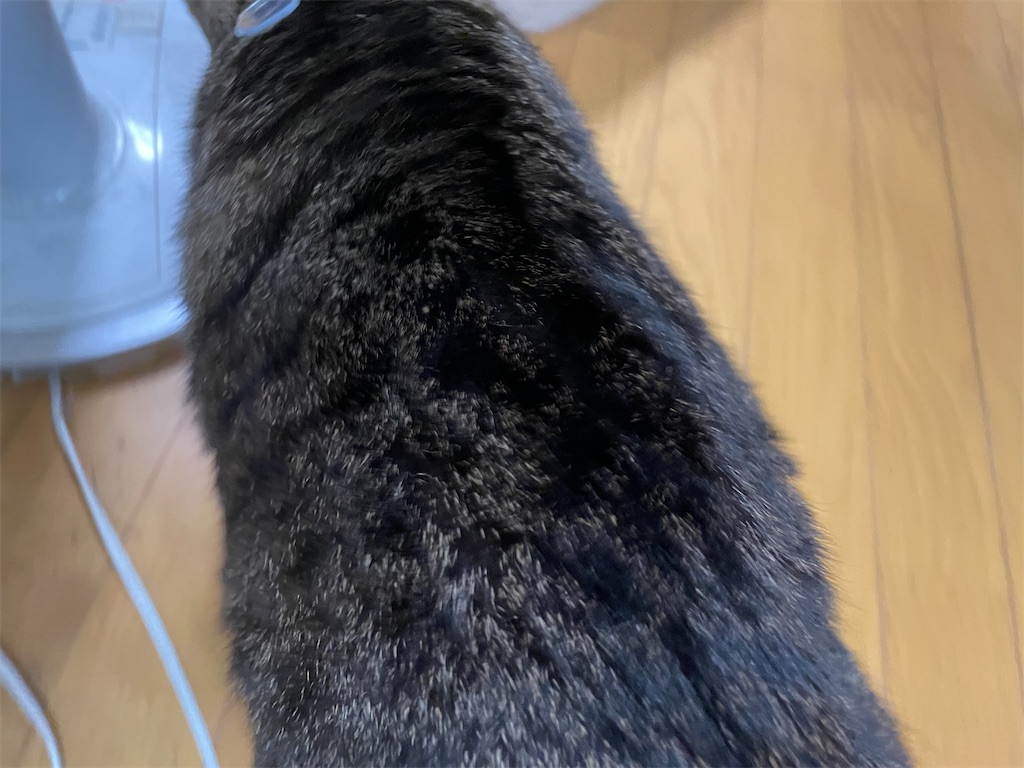 f:id:bananabasyo:20231007224848j:image