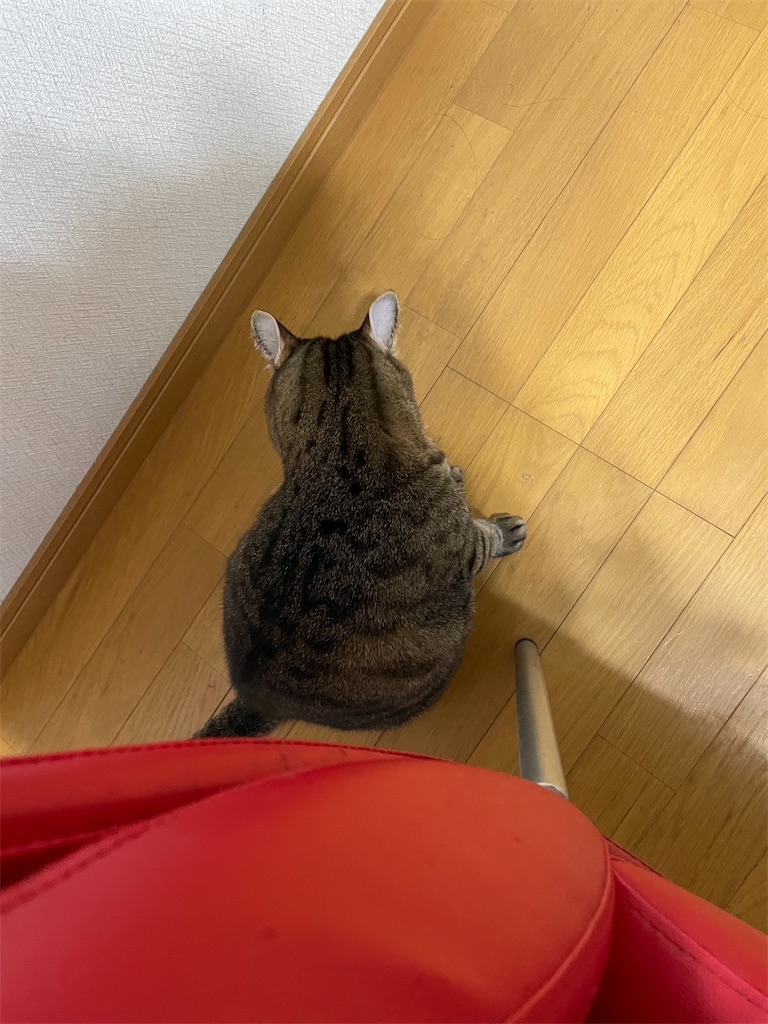 f:id:bananabasyo:20231012211342j:image
