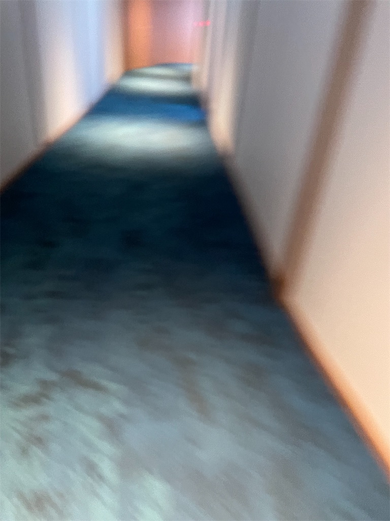 f:id:bananabasyo:20231221203134j:image