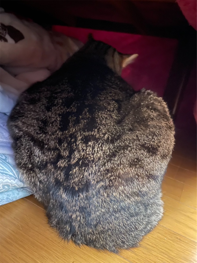 f:id:bananabasyo:20240102205503j:image
