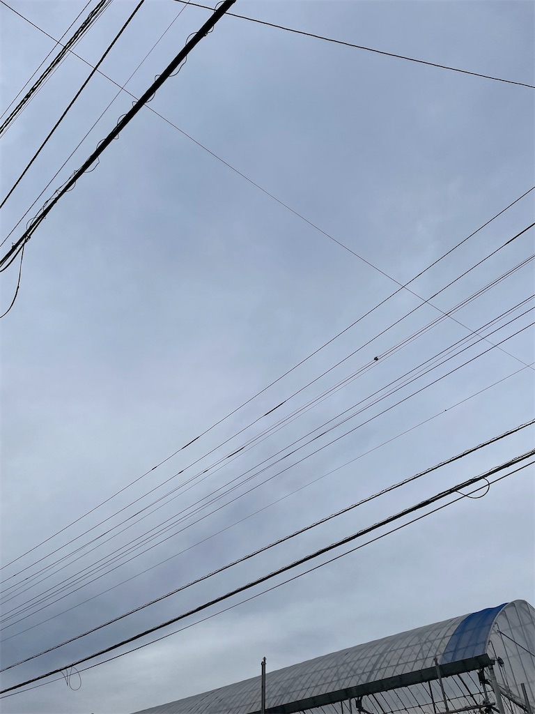 f:id:bananabasyo:20240104210745j:image