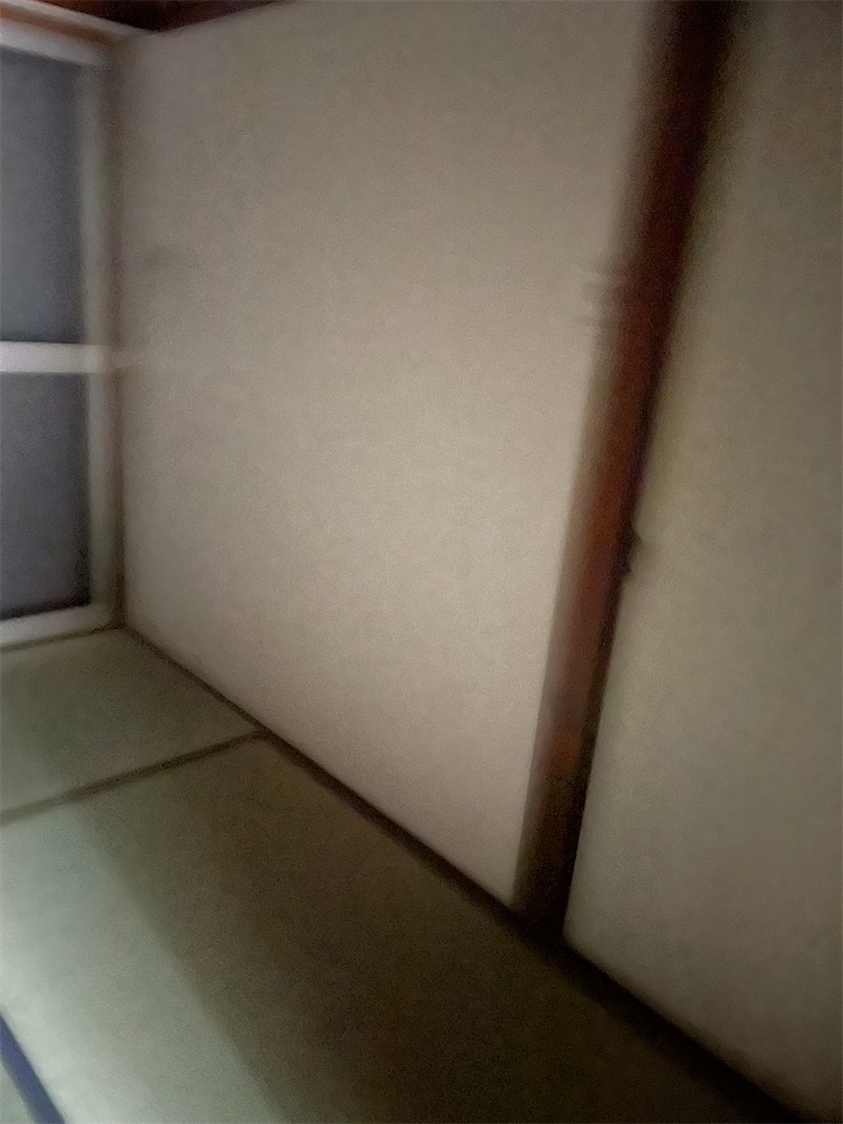 f:id:bananabasyo:20240116200403j:image