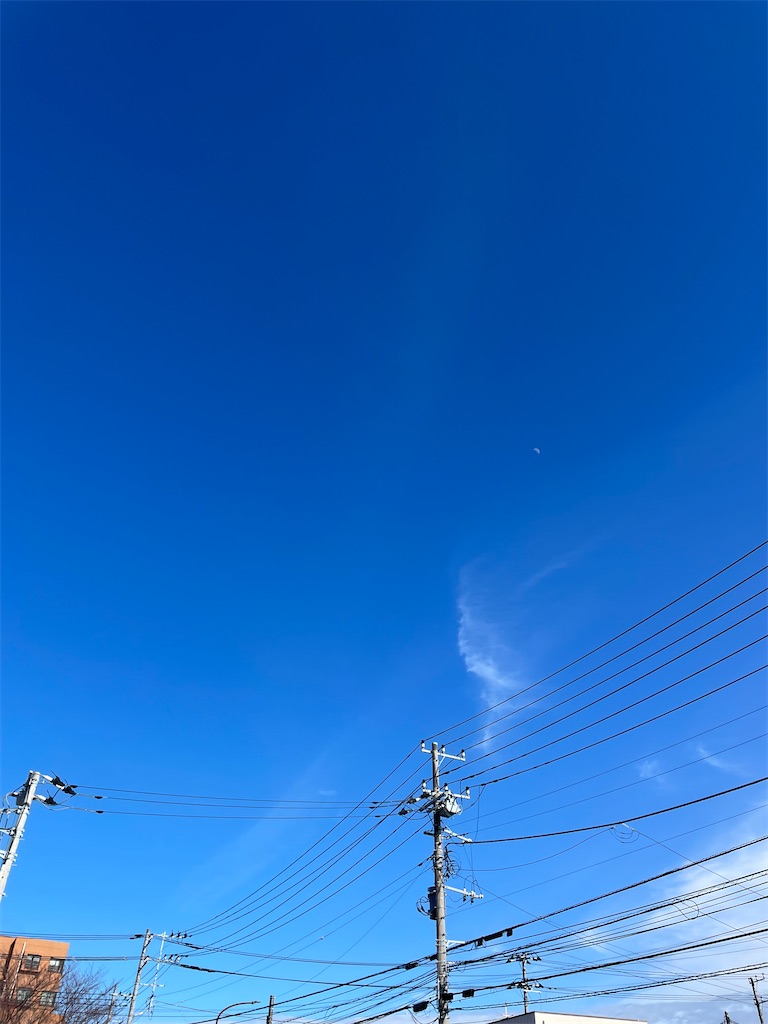 f:id:bananabasyo:20240216210524j:image