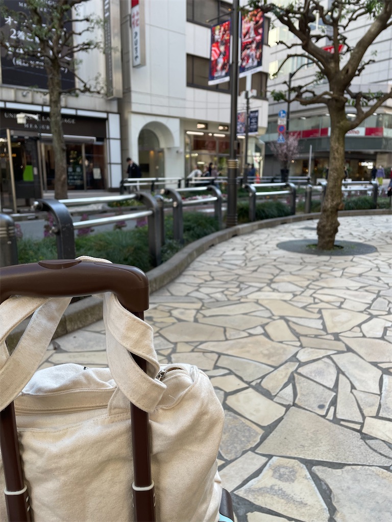 f:id:bananabasyo:20240314222602j:image