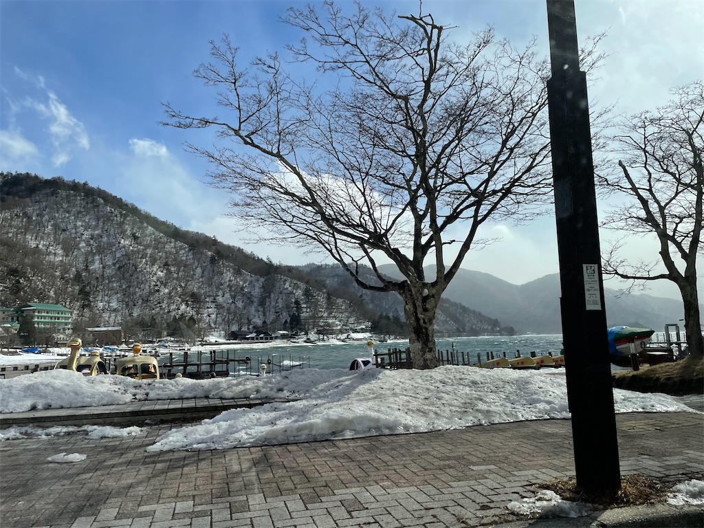 f:id:bananabasyo:20240319190033j:image